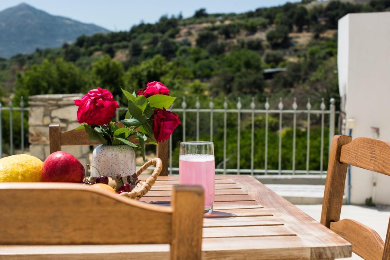 Papa-Antonis Stone House Villa Zarós Dış mekan fotoğraf